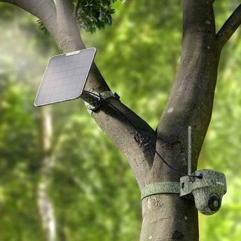 Reolink Wildlife 4K camera G450 + Zonnepaneel 4G LTE